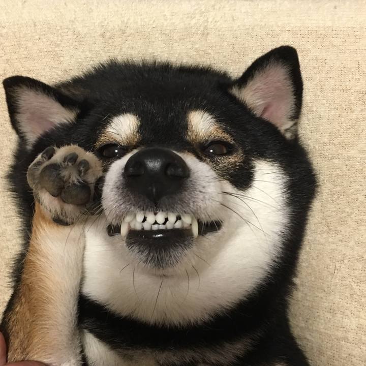 049e8920 fb59 4730 aac8 7bbeca0458d0