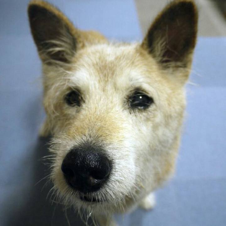 049ef9e8 8e14 4462 88e4 e6bc92510513