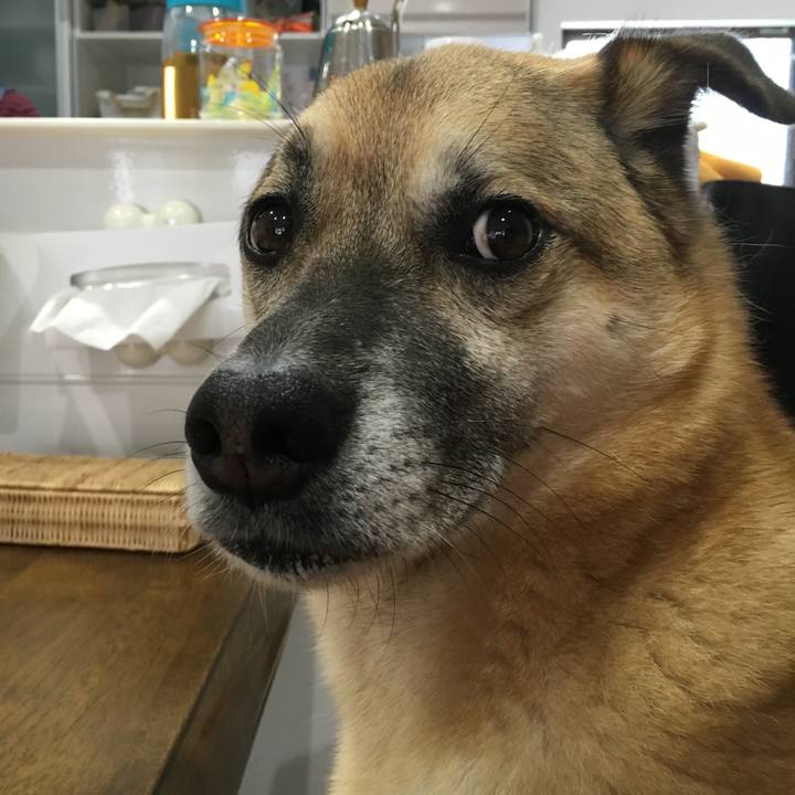 049f91fa d234 44c2 bdc7 4cf4111e5457