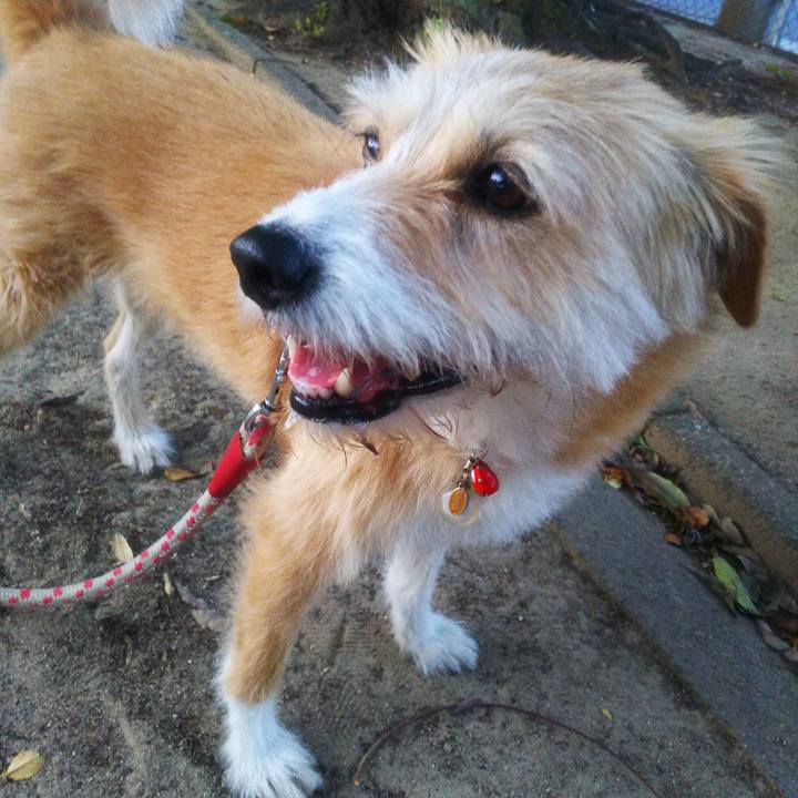 049f9527 5f5d 4814 a903 8460bba18944