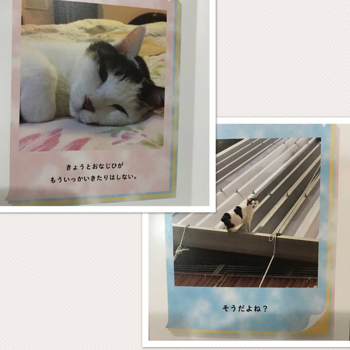 049fa2f6 7918 423a aad0 0a18455ce0dc