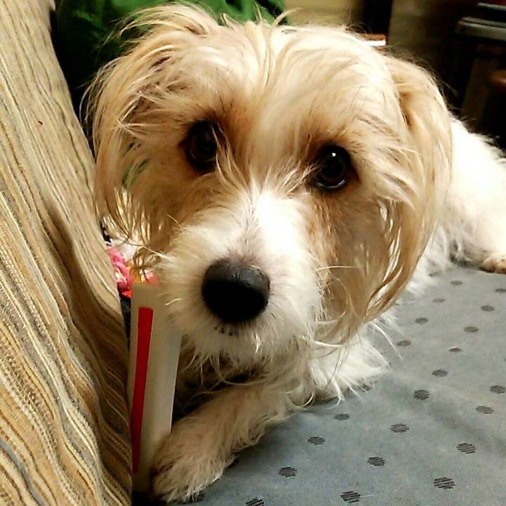 049fd104 3f58 4fac 8743 95b0b72c216c