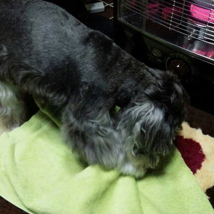 04a00b14 59d5 4aa1 b2af 0eb7bf6f5a7a