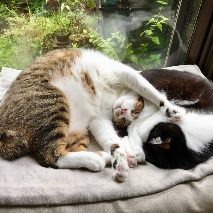 04a07846 9373 4e28 9b38 8f8804a032a0