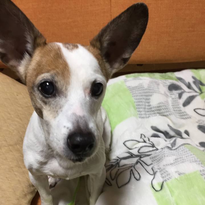 04a161c2 a8a7 4296 9a3f e3dba5a21474