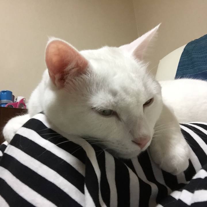 04a1893a 2cfa 4c1b ac97 5d5527e67a42