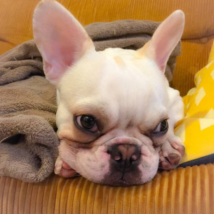 04a238c4 74ed 450e 8b4f 1902483ffed7