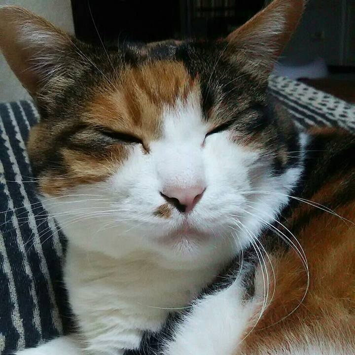 04a2cbe5 412e 4445 bbd0 f62d066085d8