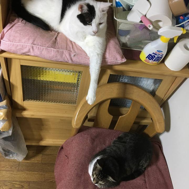 04a36024 99d4 4624 94f2 a571d04d1062