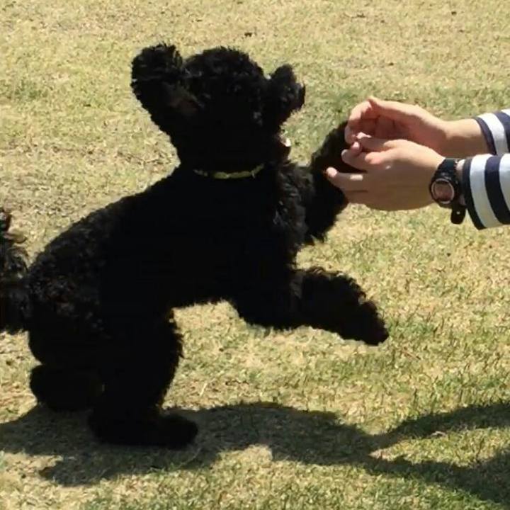 04a3c998 3d3e 44d8 aaff 08cd95e9aa2b