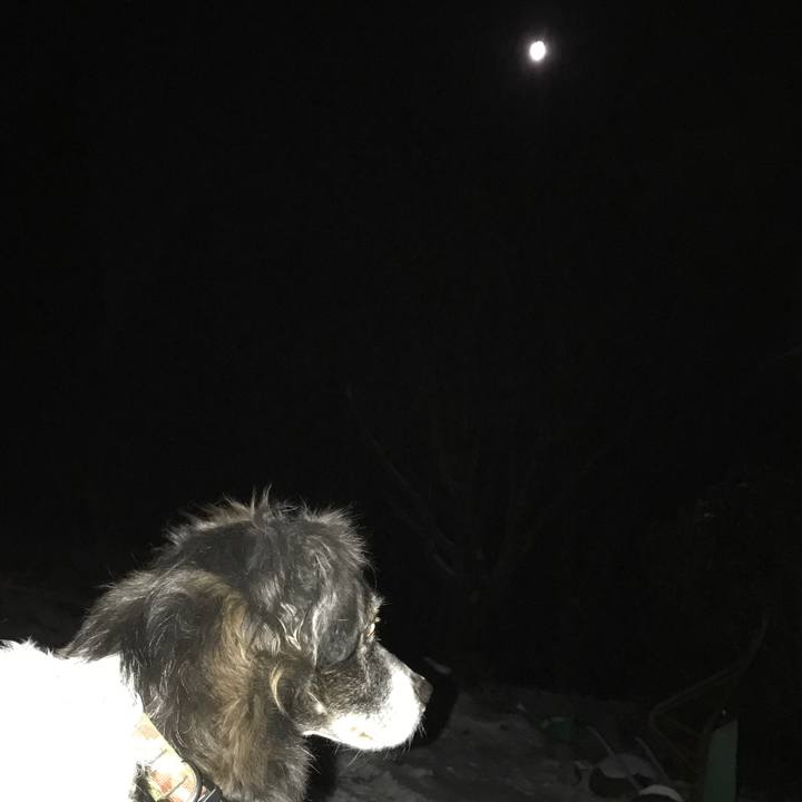 04a44ed4 87b4 42c8 9e68 1280c8a624a6