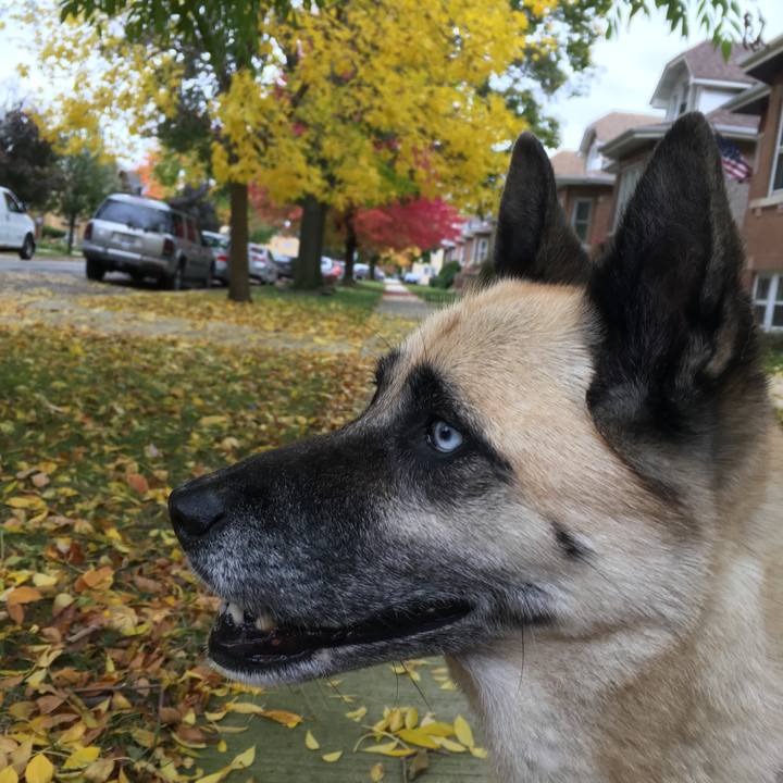 04a47241 f754 4d85 b048 d976c620500a