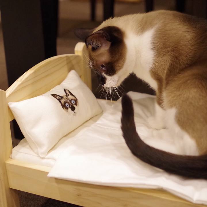 04a4b83d 8e2a 4a2d a324 3d12a9eda6e6