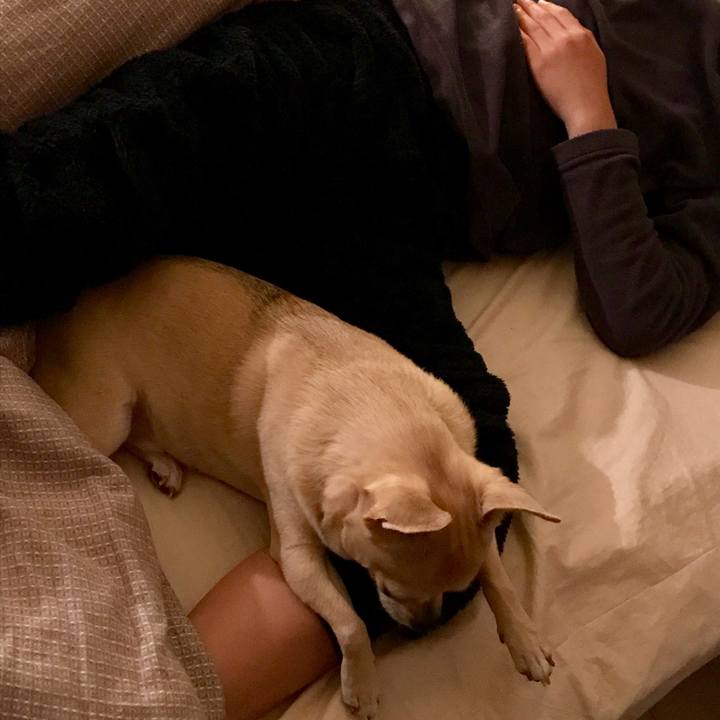 04a4bc04 37eb 4674 8814 8e609102fe9d