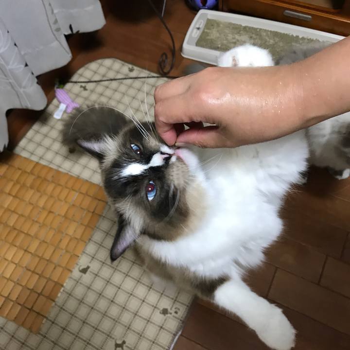 04a520c7 df0f 441b a2ed dc6d98694f5e