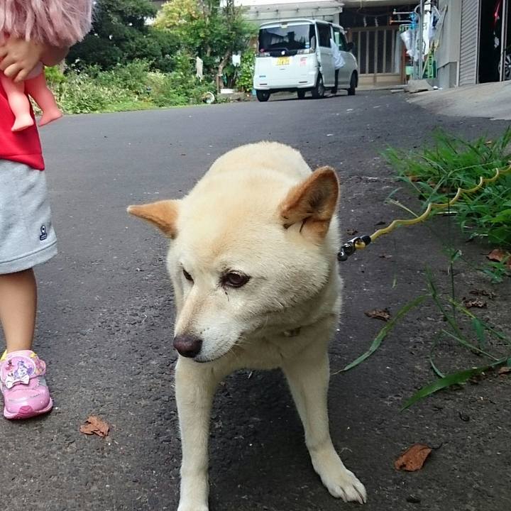 04a52713 7f91 431a b572 0624ea170a90