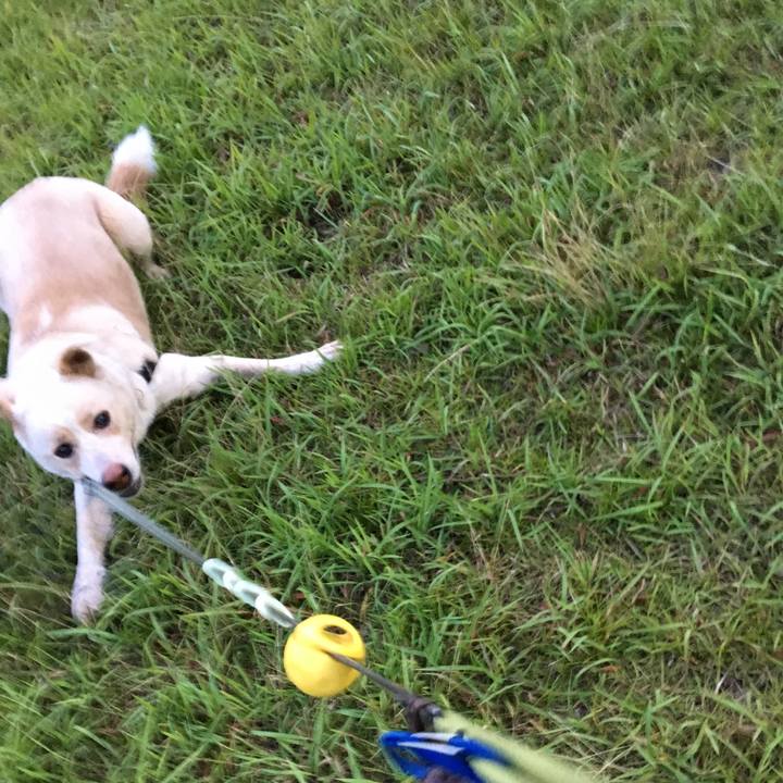 04a56c22 136c 493b 87dc 813864cab43d