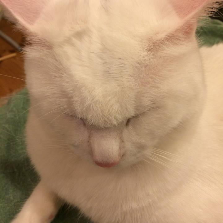 04a597ab bc83 4d54 a726 822d0e1da4a8