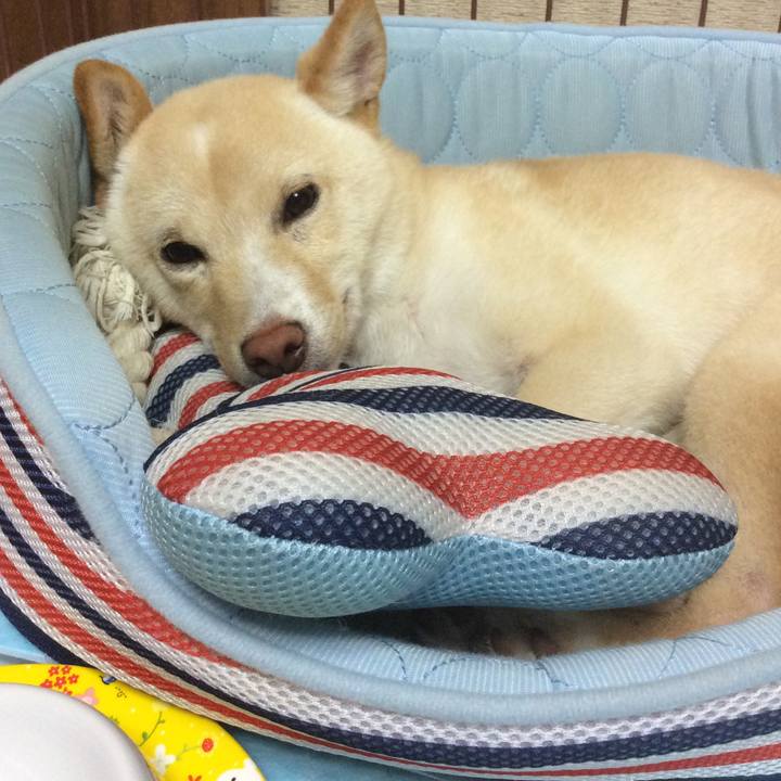 04a5c9ae ec7d 4107 a9c0 20ce2c43900d