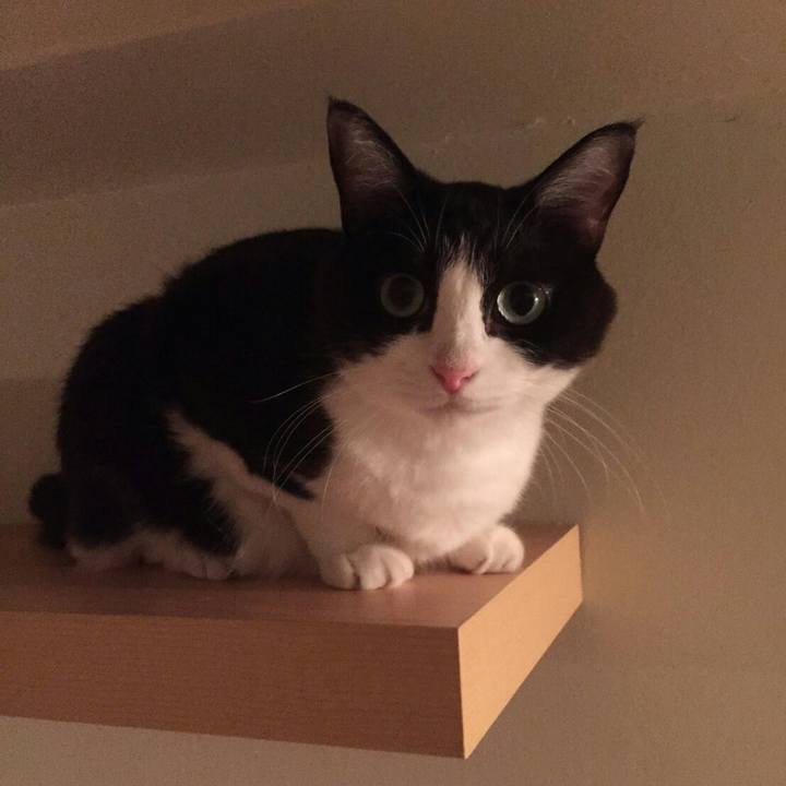 04a667ce cb39 4ae9 a610 f440a4482b57