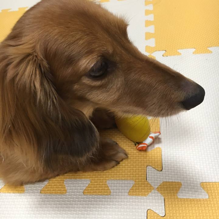 04a71c82 a4f3 4ccd 82e5 c01b5953f2a7