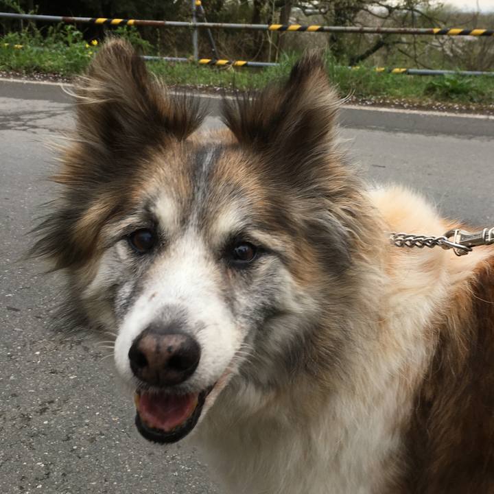 04a720fe be2f 4aa8 bde5 848f37bd800a