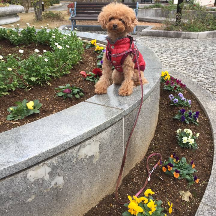 04a77c43 66ce 4852 b795 b006551b12ee