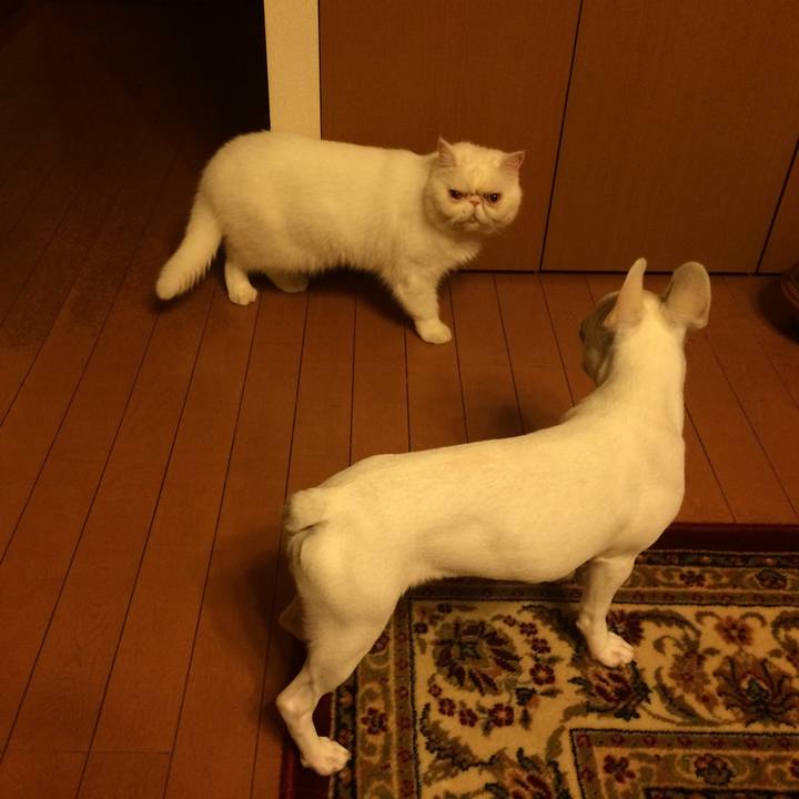 04a7b15d 0a20 480f 80d6 af31665bf701