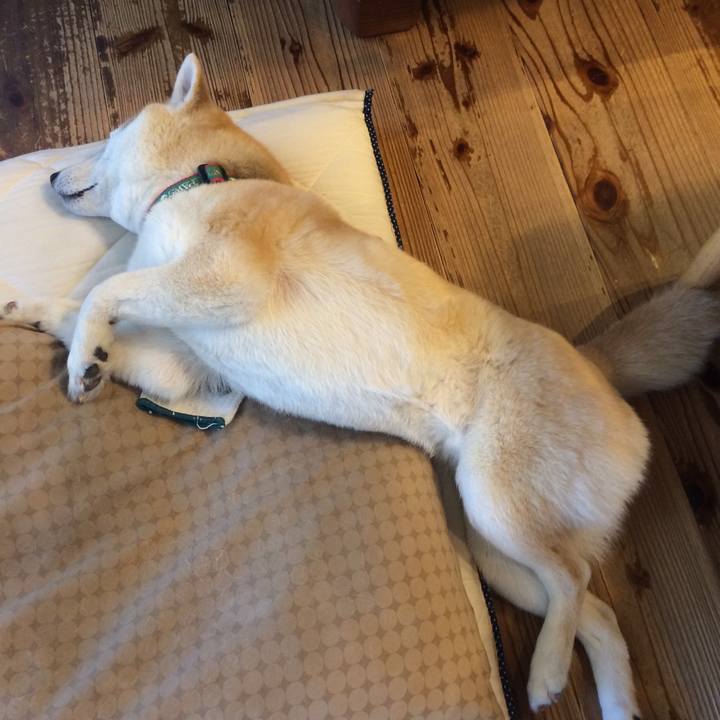 04a80300 8d98 4b57 bdc1 bb49fe4a5715