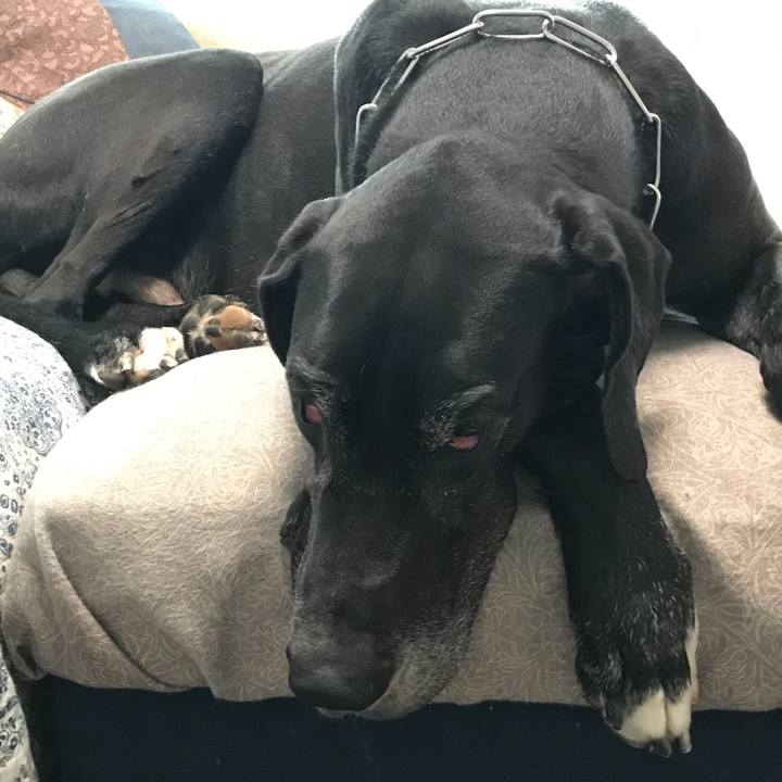 04a8315c bdec 469e bc50 6d0906555307