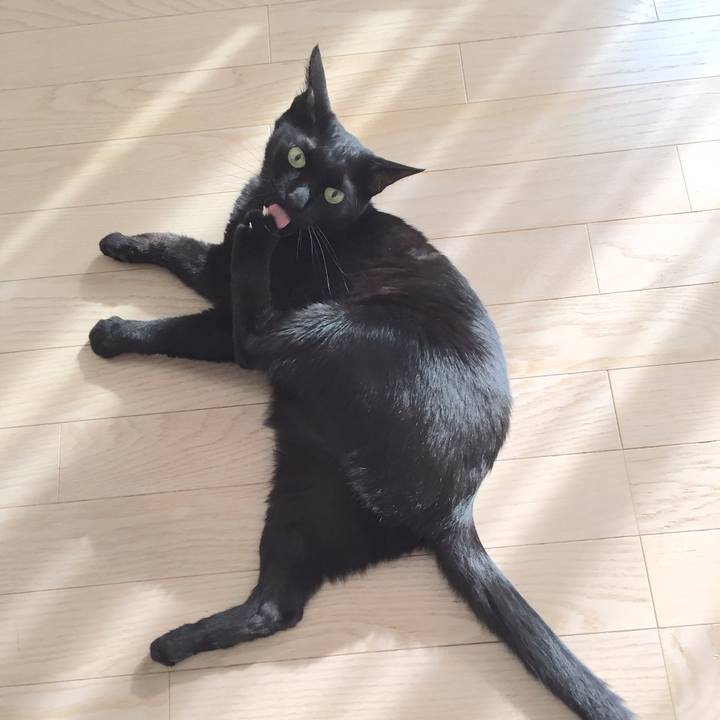 04a873a2 8c10 427d 9de0 83aaa5d8d752