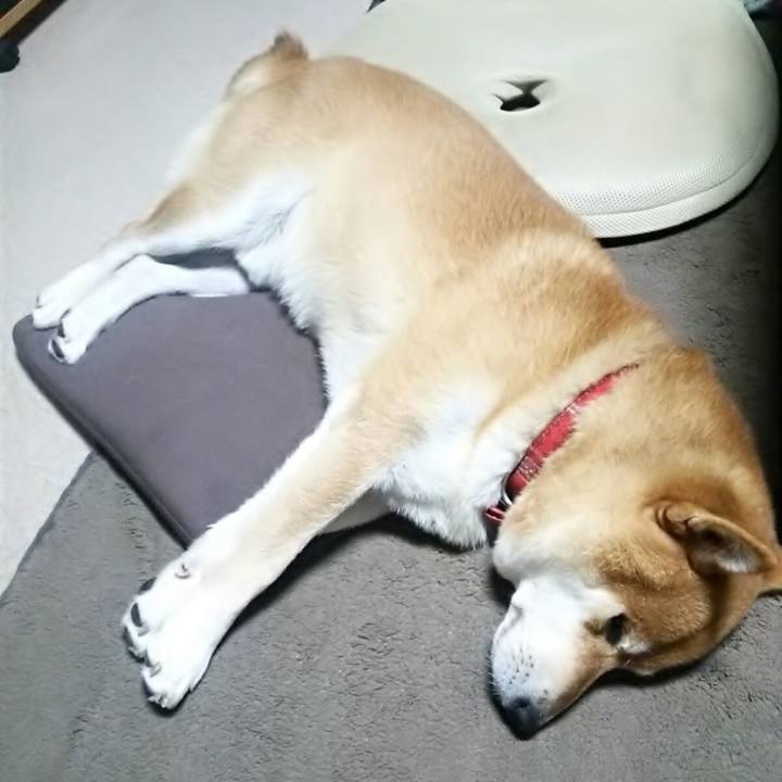 04a8a1cd 3dff 4128 9834 0f351017412c