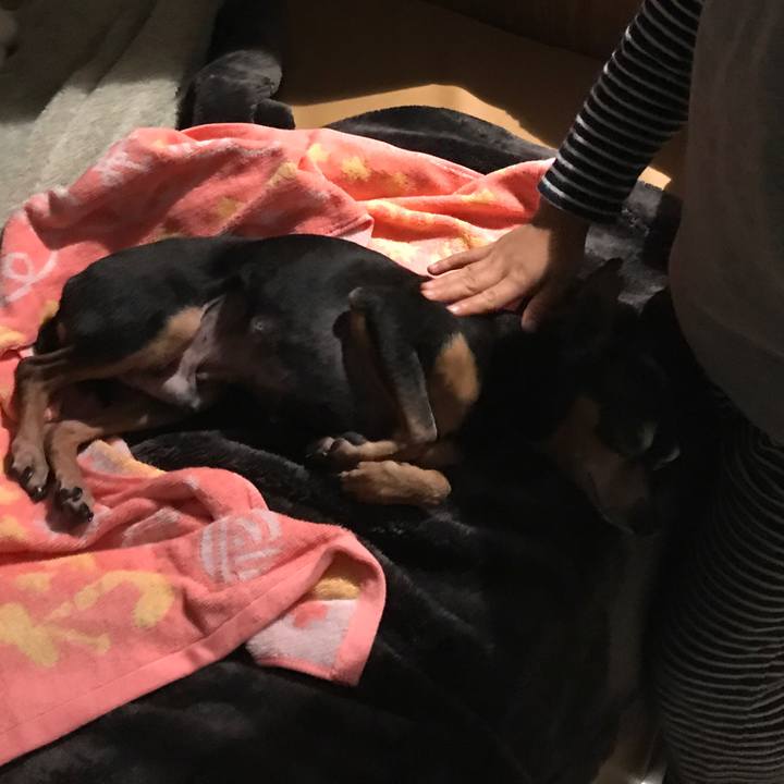 04a8ed9f ac76 48f6 b419 a6255e2c84f3