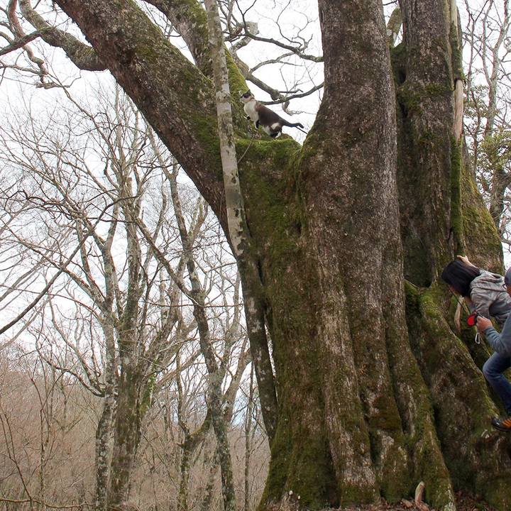 04a96eab 477c 429a a45a 4ffaa4e71adb