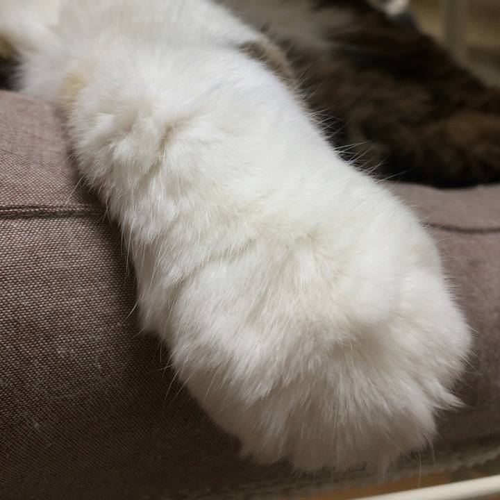 04aa7b23 85b4 4e55 bb00 a11d7422bd85