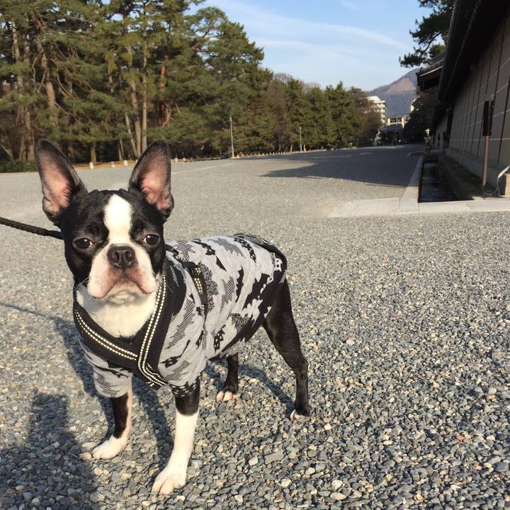 04aa91e7 35de 4642 9711 ef6916fa4b90