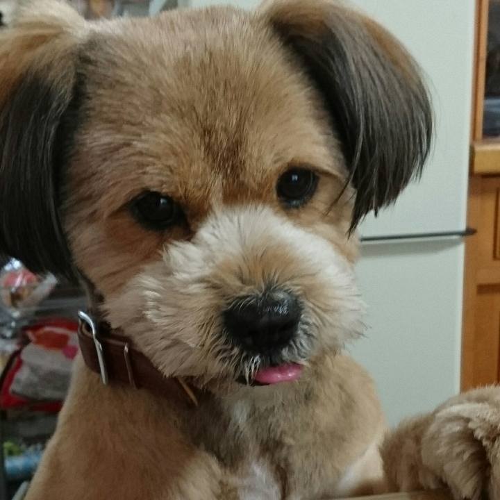 04aa9414 f3b7 4806 8ae0 82f6e1c090a1