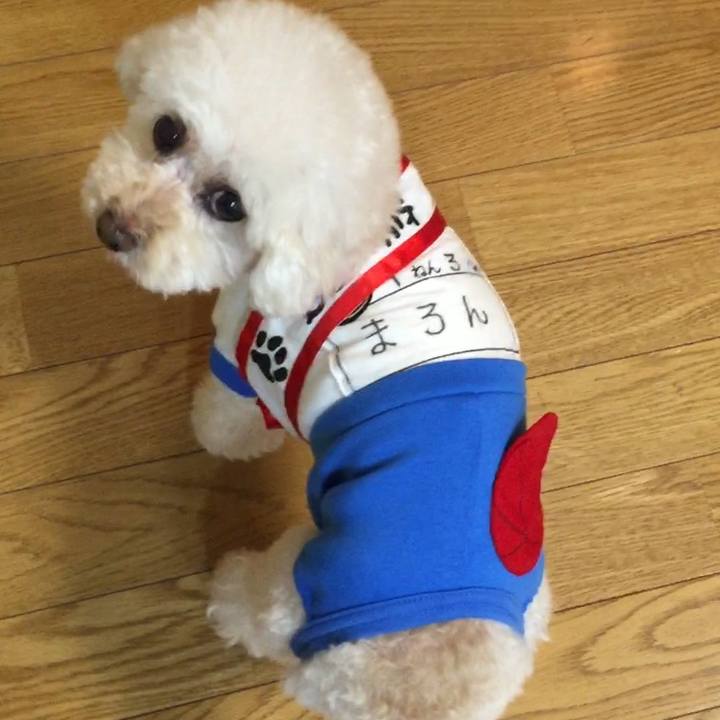 04ab2ff9 6864 47ef a6b2 5d87a964a5c4