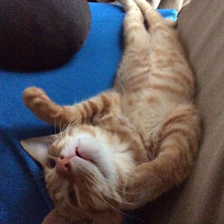 04ab3fc0 70e5 4db0 ab07 6d59bf2bf48e