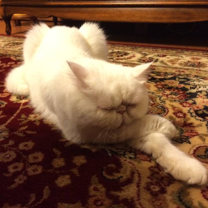 04ab420d 42c6 4448 a07c f0899c6ca44b