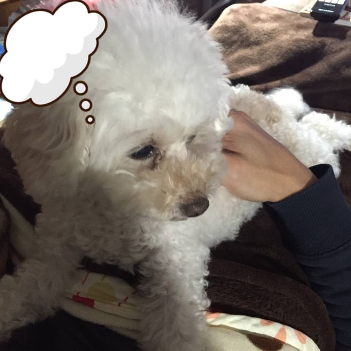 04ad16dc 49b3 4dcc b0ce 014bdd1ab19c