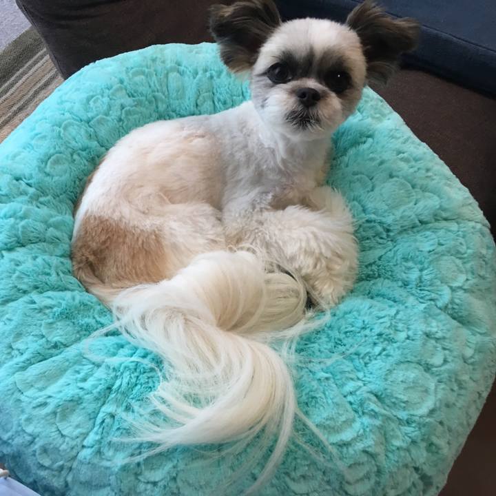 04ad22e8 e360 4e72 82de 80fa6d671e55