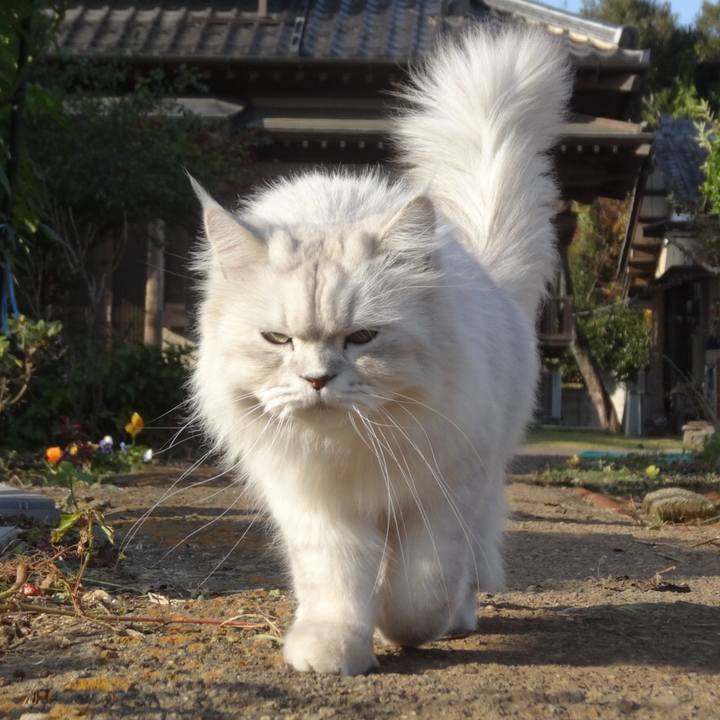 04ad25e6 e3ce 4bf3 b3c0 afe4b42b4089