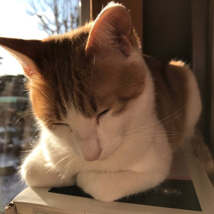 04add5f4 c075 4ab6 b56c 834308d05d3f