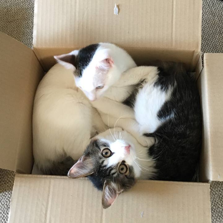 04adea62 f40d 4aa9 be68 e3872c370c82