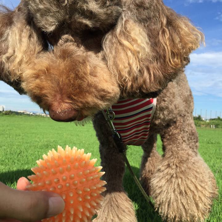 04ae87c8 197e 434d a070 4605555782d0