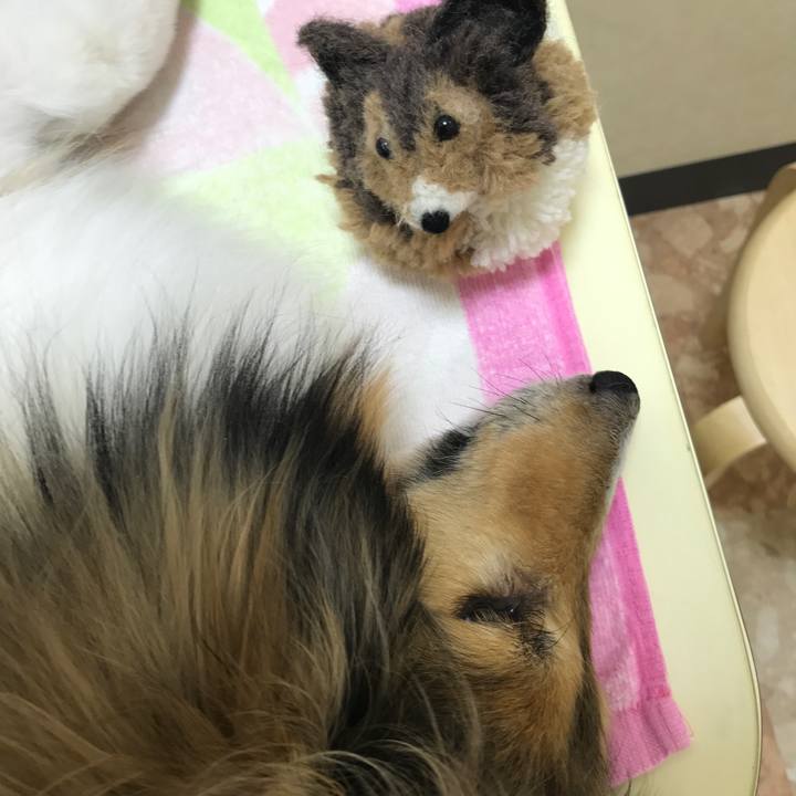 04aec388 773b 4ea8 941b 7b1c582affd5