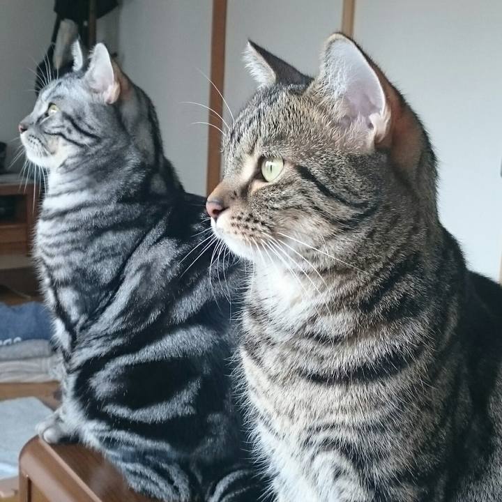 04aec70d 36ef 45fd b22c 592a75da36ee