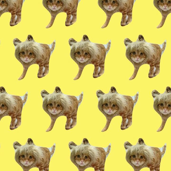 04af0c44 661a 4d14 878d 947d56f6eab2