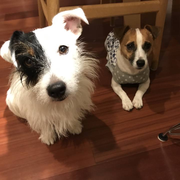 04af7d5a ba5e 4503 9211 e898476345a7